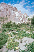 Cappadocia, the Rose valley